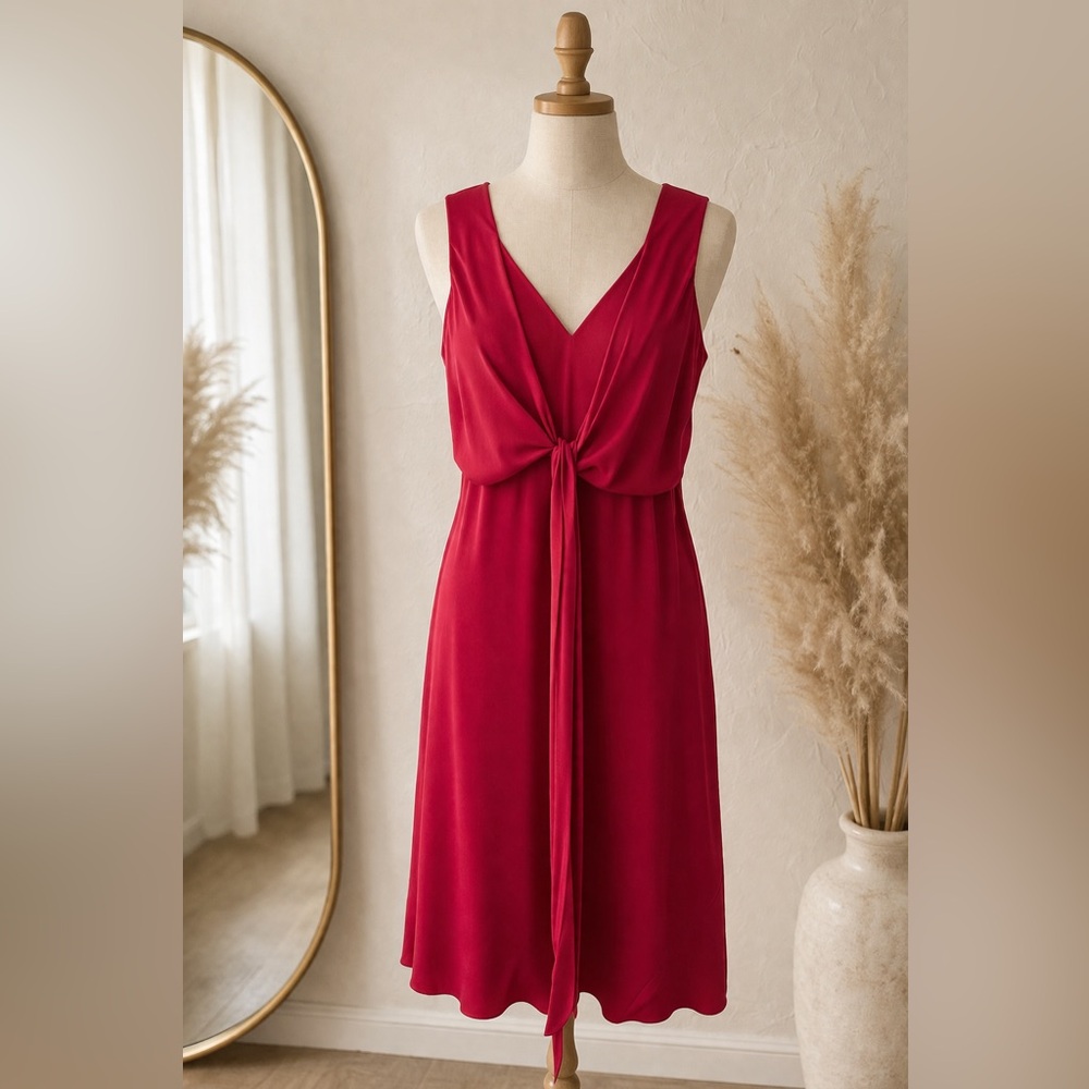 Sheer Dress size 8